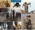 Us war in afghanistan_tiny